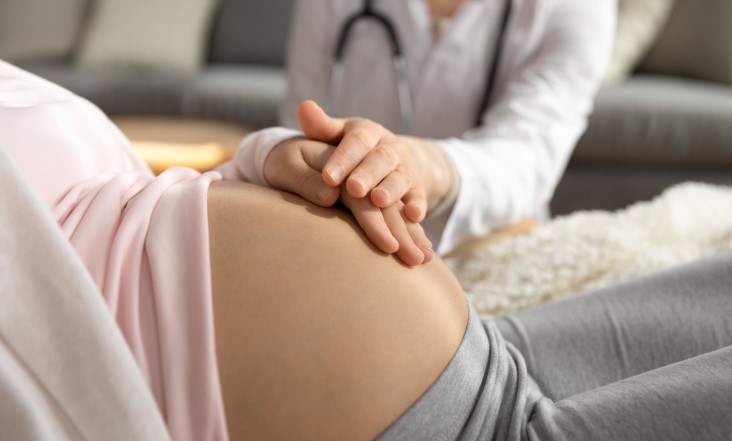 Panchamrut in Garbhini Paricharya: a nutritional and therapeutic review for optimizing maternal health